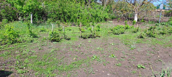 Дом 110 м² на участке 15 сот.