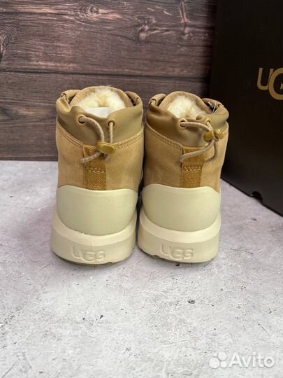 Угги мужские Ugg