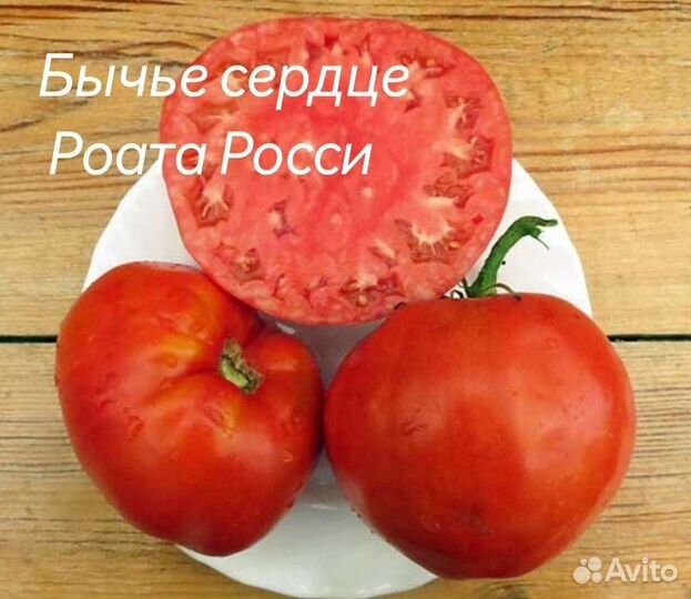 Продам семена редких коллекционных томатов и перца