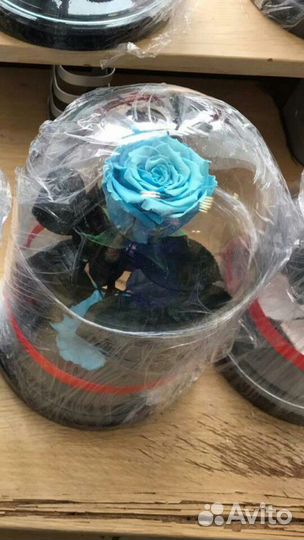 Роза в Колбе(Вечная Роза)