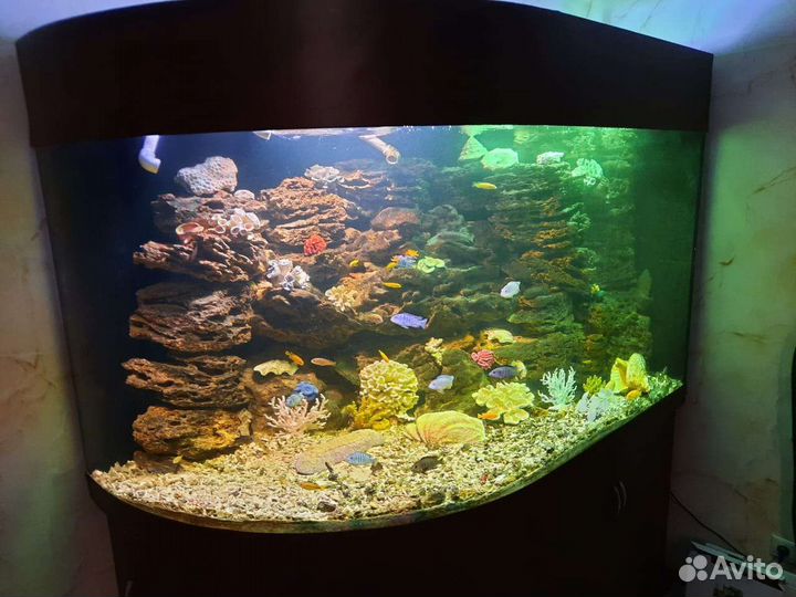 Большой морской аквариум