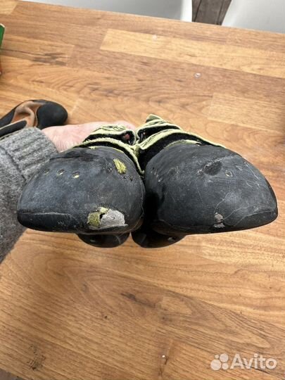 Скальные туфли scarpa la sportiva evolv