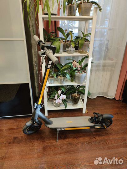 Ninebot Max g30p с подвеской