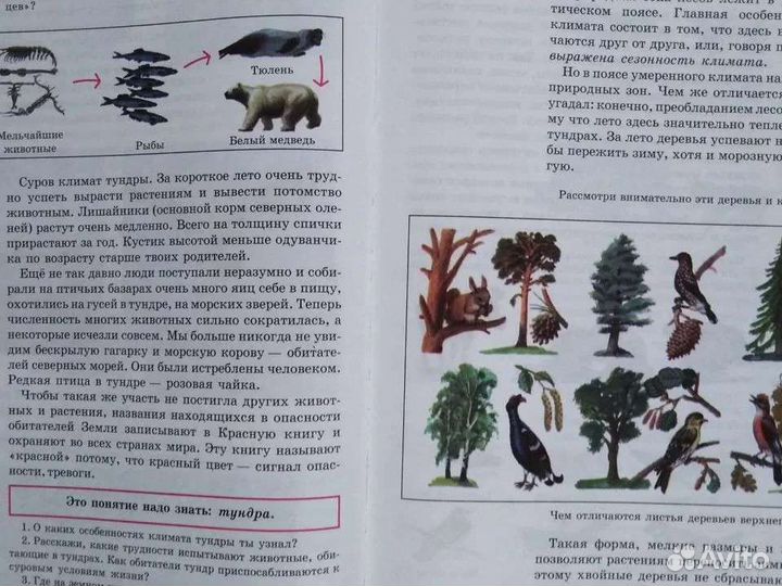 Мир и человек - детская книга