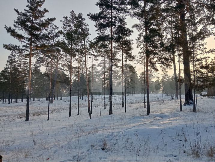 Участок 8 сот. (СНТ, ДНП)