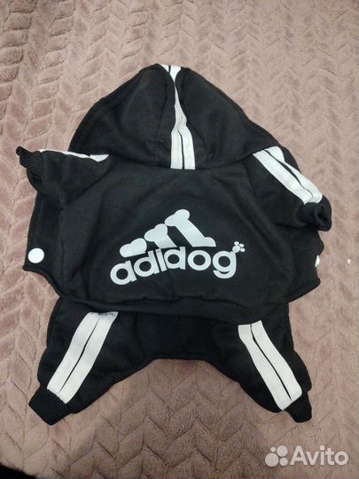 Одежда для собак