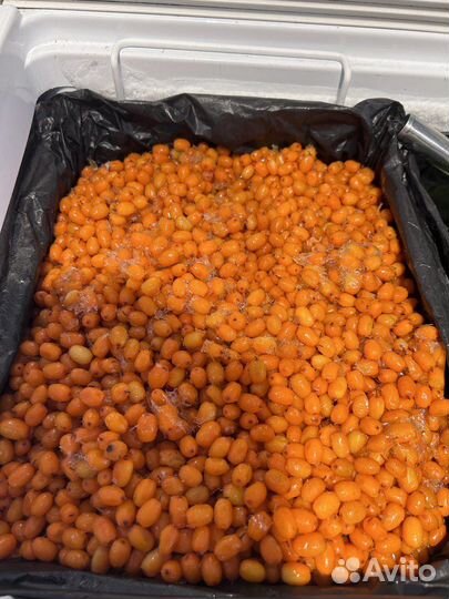 Облепиха замороженная 10 кг, доставка бесплатно