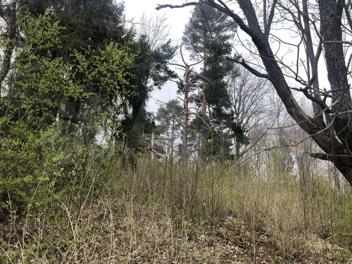 Участок 6 сот. (СНТ, ДНП)