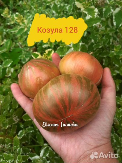 Семена томатов Козула