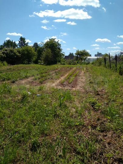 Участок 8 сот. (ИЖС)