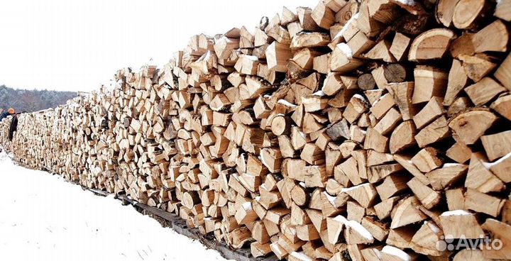 Дрова осинка