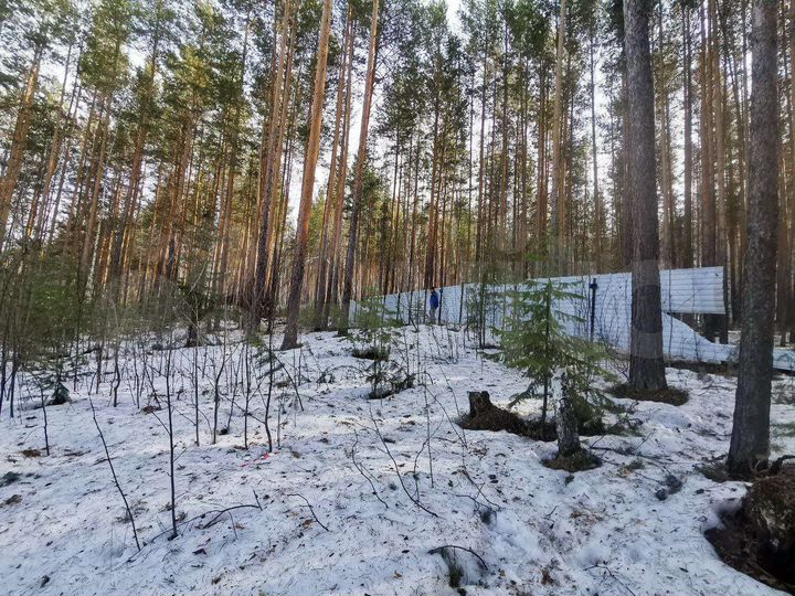 Участок 19,7 сот. (ИЖС)