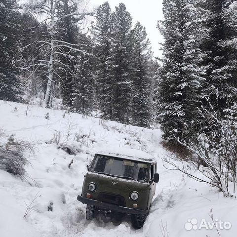 Быу онгудай автомобили