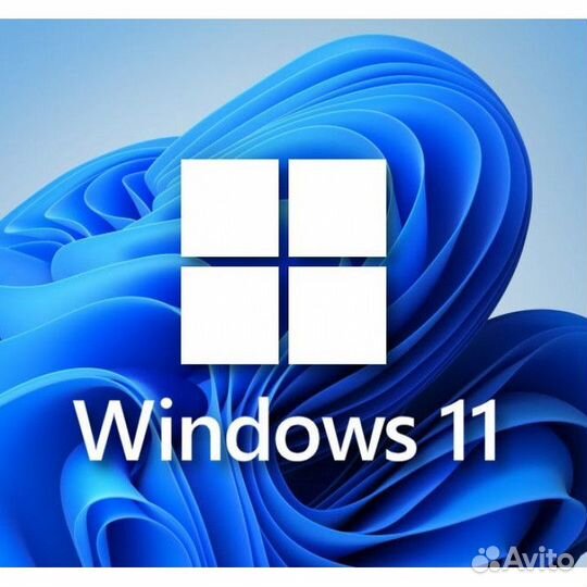 Компьютерный мастер. Установка Windows