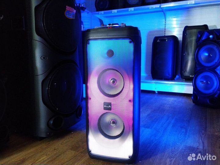 Колонка Eltronic 20-28