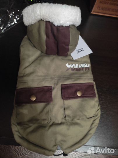 Одежда для собак мелких пород