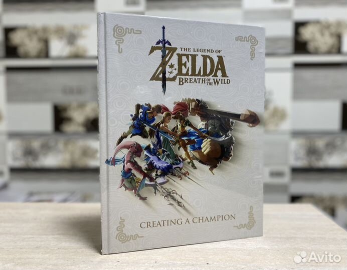 Zelda Breath Of The Wild Creating A Champion