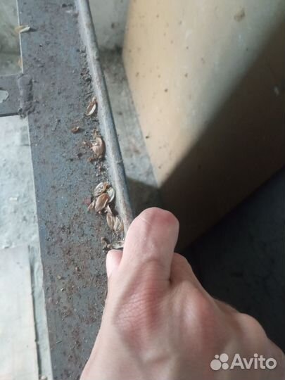 Дверь входная металлическая