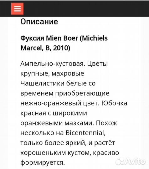 Черенки фуксии