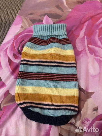 Одежда для маленьких пород собак