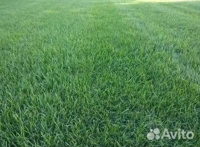 Гидропосев