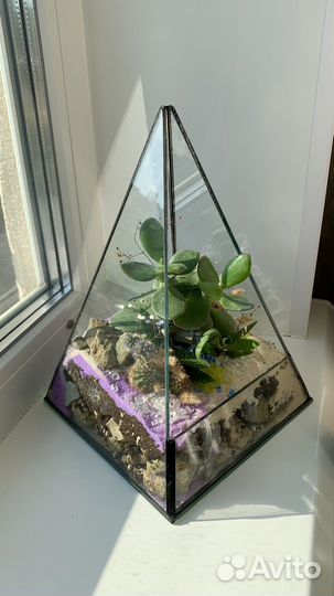 Флорариум в подарок для преподавателя