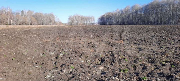 Участок 42 га (СНТ, ДНП)