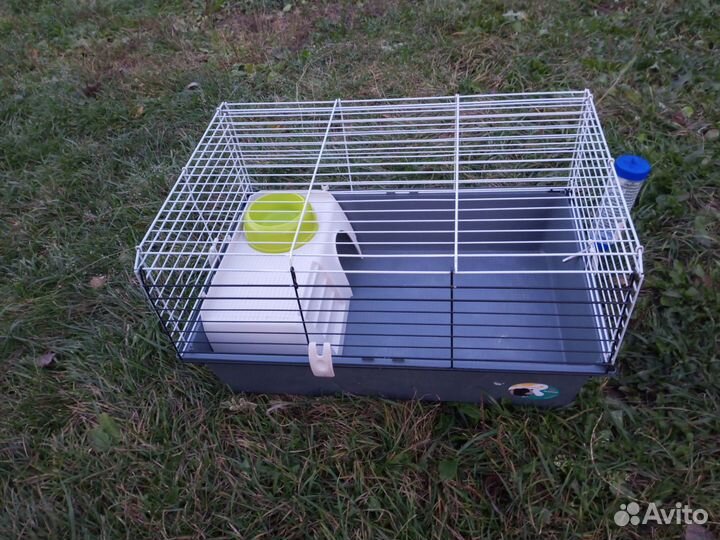 Клетка в хорошем состоянии