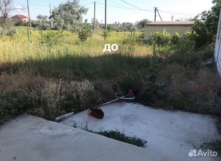 Покос травы