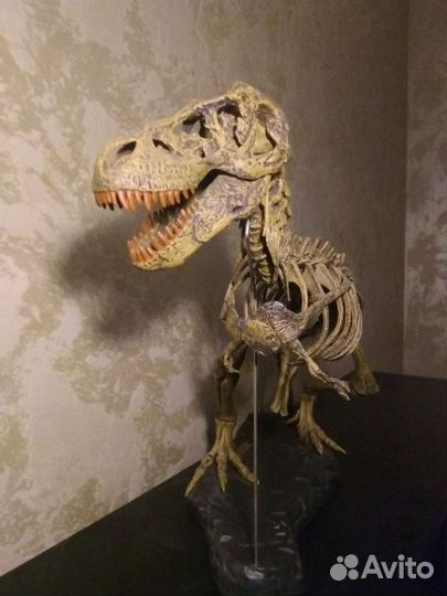 Тираннозавр Рекс