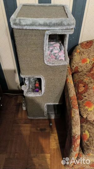 Дом когтеточка