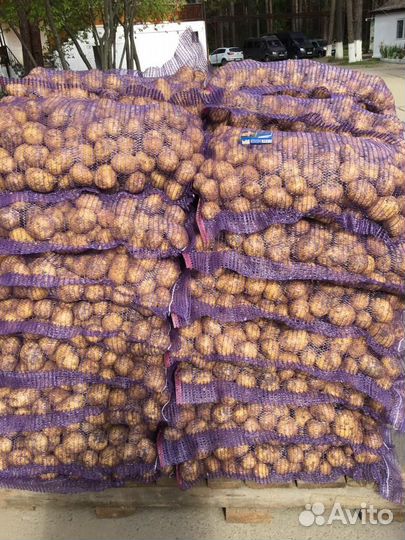 Картофель оптом г.Тюмень