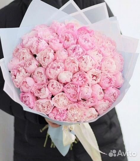 Пионы Букет пионов