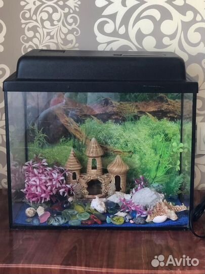 Аквариум