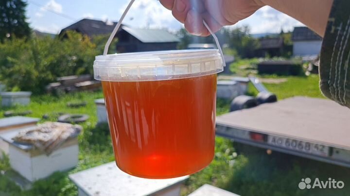 Мед натуральный. Свой мёд 2024