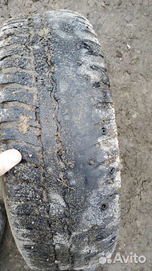 Fortio WN-01 195/65 R15