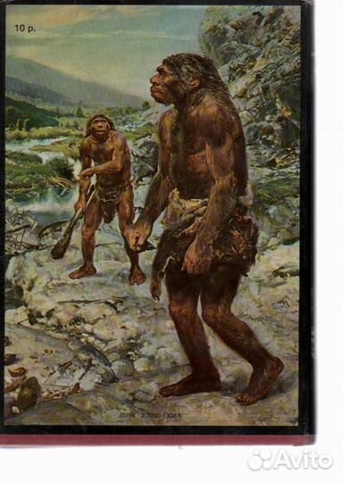 Иллюстрированный атлас первобытного человека