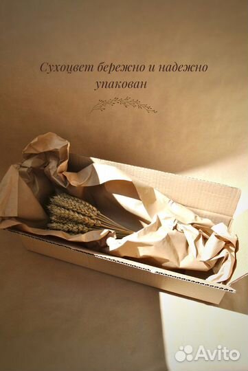 Сухоцветы пшеница
