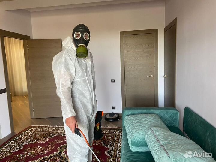 Дезинфекция квартир Уничтожение тараканов клопов м