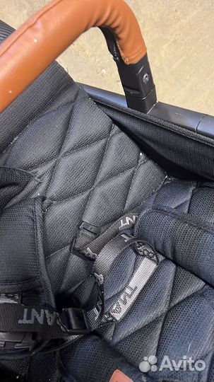 Коляска прогулочная Rant Vega Prime Midnight Black