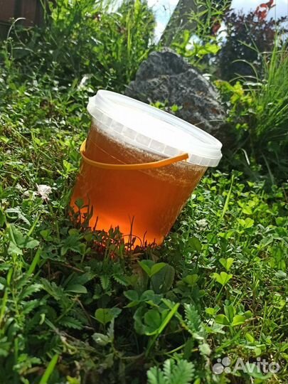 Мед разнотравие