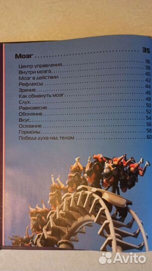 Атлас тела человека