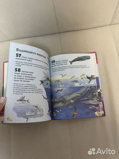 Книга животные морей и рек