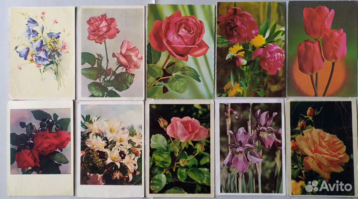 Открытки СССР. Цветы