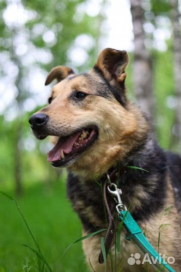 Заметь меня