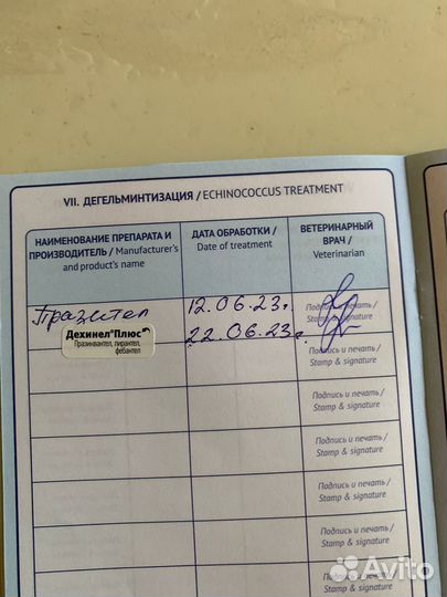 Собака Шицу