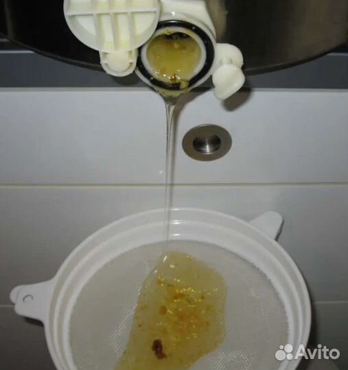 Мед донниковый 2023 (только откачали) с доставкой