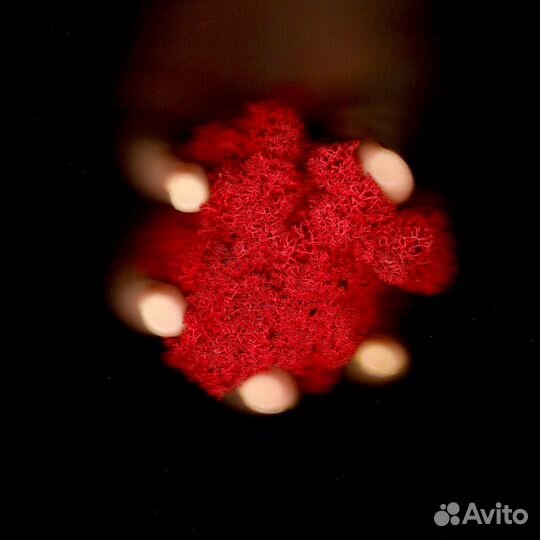 Стабилизированный Мох, Красный