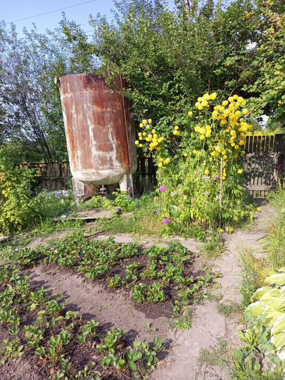 Дача 24 м² на участке 6,5 сот.