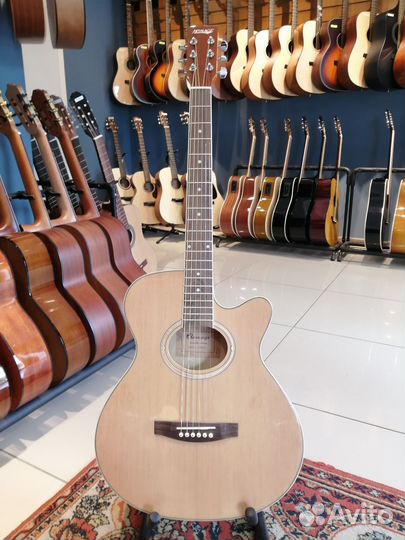 Акустическая гитара Homage lf 401c N